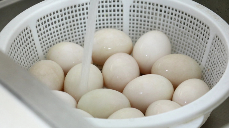 Làm trứng bắc thảo trấu tại nhà có dễ không?
